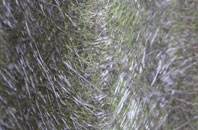 Logie Coldstone fibreglass roof work